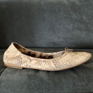 Leather l Ballet Flats